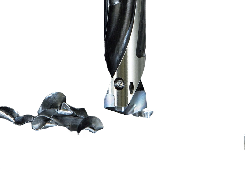 WhatsApp Image 2025-10-22 at 11.45.01 PM